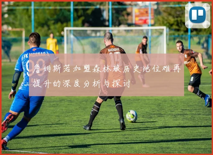 詹姆斯若加盟森林狼历史地位难再提升的深度分析与探讨